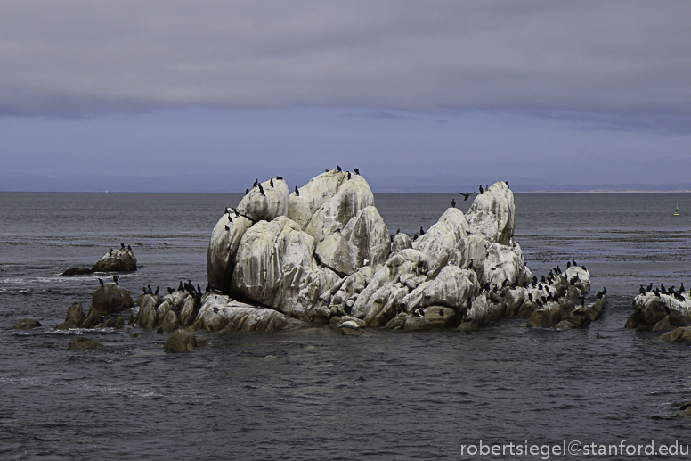 hopkins marine station